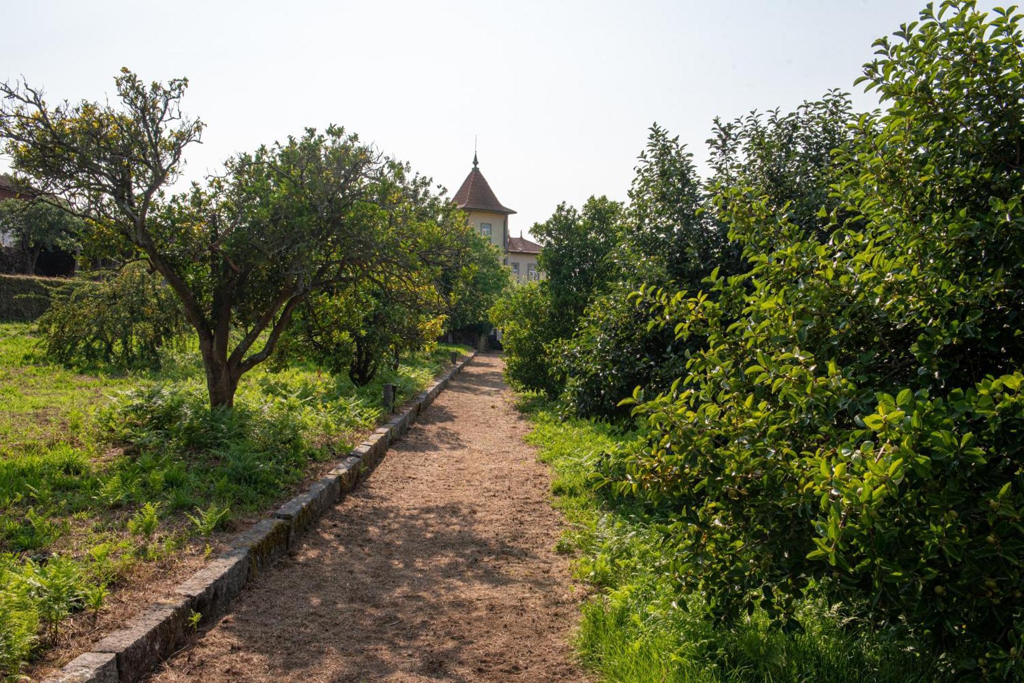 Casa Da Torre Luxury Villa In Брага Екстер'єр фото